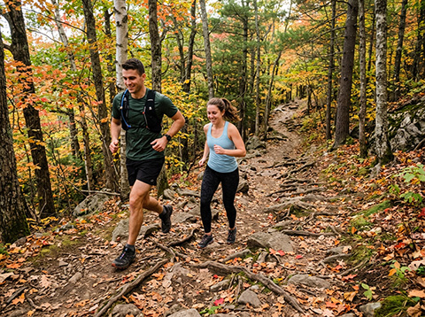 Mount Wachusett trail